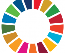 SDG Wheel_WEB